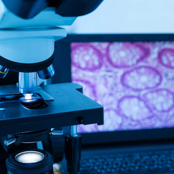 Czym się różni zjawisko fizyczne od reakcji chemicznej?